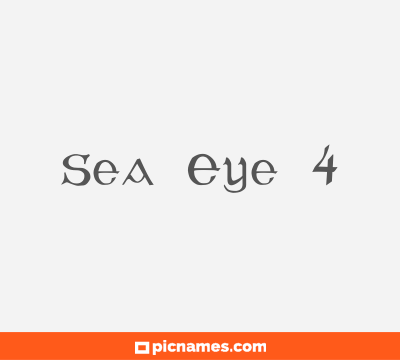 Sea Eye 4